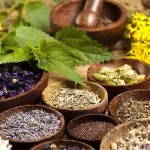Erbe officinali: quali effetti su chi le usa per curarsi?