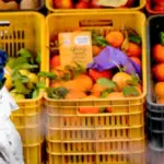 Sora, Riapertura del mercato settimanale e disposizioni per la viabilità