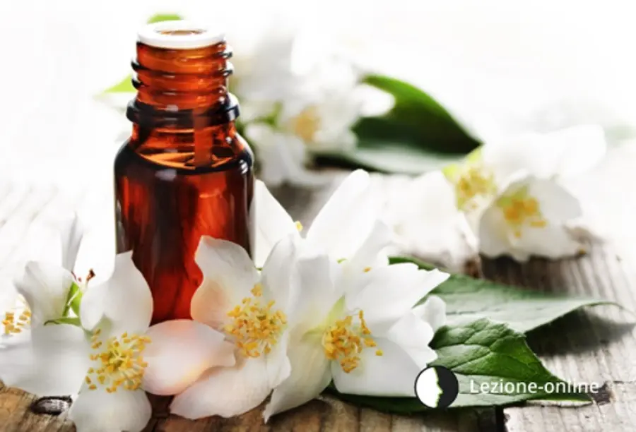 I fiori di Bach curano il corpo o l'anima?