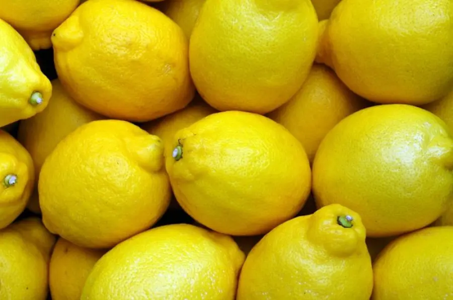 Cosa accade a chi esagera con il limone? La risposta che non piace ai naturalisti