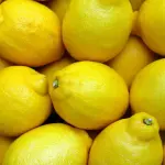 Cosa accade a chi esagera con il limone? La risposta che non piace ai naturalisti
