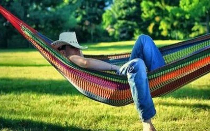 La pennichella dopo pranzo fa bene? La scienza dà ragione ai più pigri