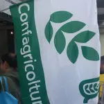 Confagricoltura Frosinone, Fase 2: “Dalle istituzioni maggiore coraggio nel sostegno al comparto agroalimentare”