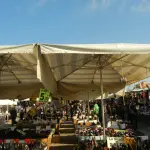 Frosinone, Mercato ridotto e in sicurezza