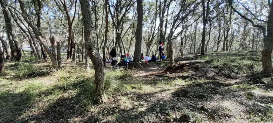 I Cammini nei Parchi: il programma degli eventi del Parco Monti Ausoni dal 21 al 29 maggio