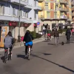 Frosinone, Ottaviani: 