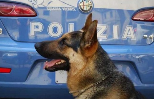 Frosinone, Territorio sotto controllo