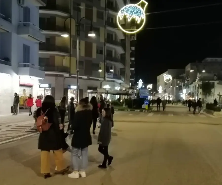 Frosinone, Ottaviani: isole pedonali utili all'ambiente e al commercio