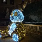 Frosinone, Luminarie artistiche e samba per aprire le Feste
