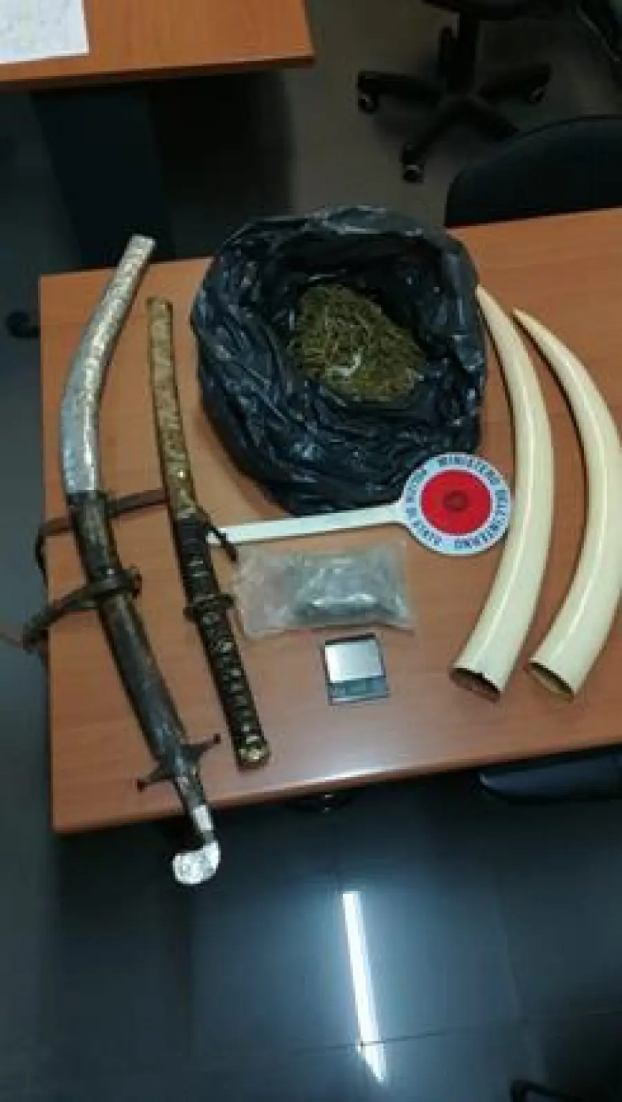 Frosinone, Spuntano durante una perquisizione droga, armi e zanne di elefante
