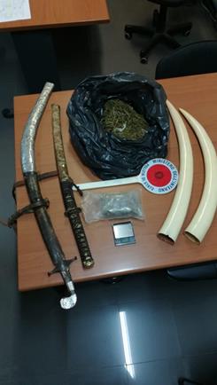 Frosinone, Spuntano durante una perquisizione droga, armi e zanne di elefante