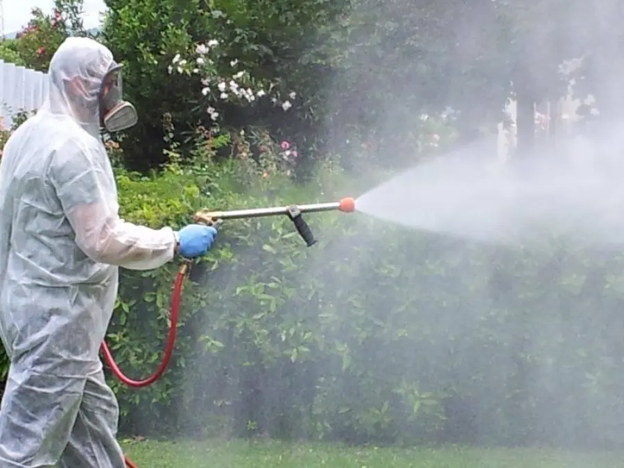 Frosinone, Proseguono le disinfestazioni