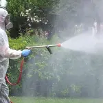 Frosinone, Proseguono le disinfestazioni