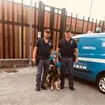 Frosinone, Quartiere Scalo e nella zona alta della Città: controlli a tappeto