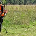 Frosinone, Provvedimenti contro incendi e incuria dei terreni